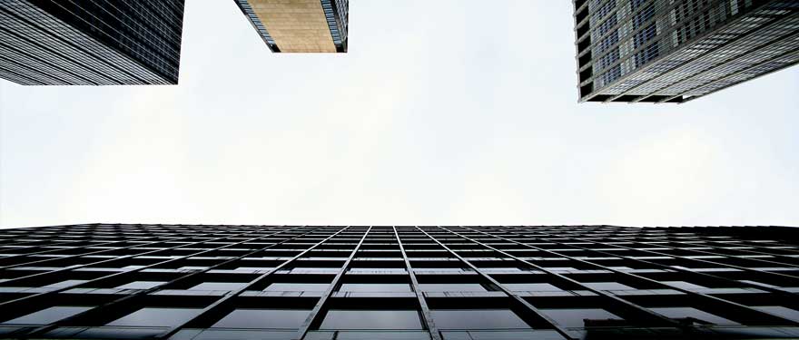 studio_pelino_04